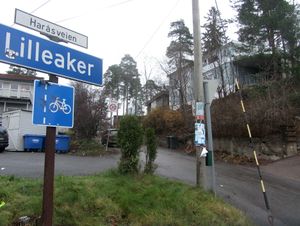 Haråsveien Oslo 2014.jpg