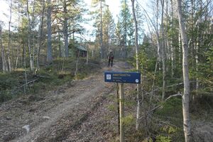 Harstadsetra 2021.jpg