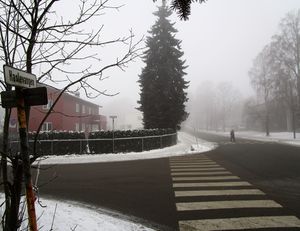 Haslevangen Oslo 2014.jpg