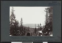 72. Hattfjelddalen statskog ved Unkervandet - no-nb digifoto 20160317 00155 bldsa NGU0394.jpg