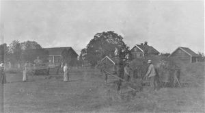 Haug Even slåttonn 1920.jpg