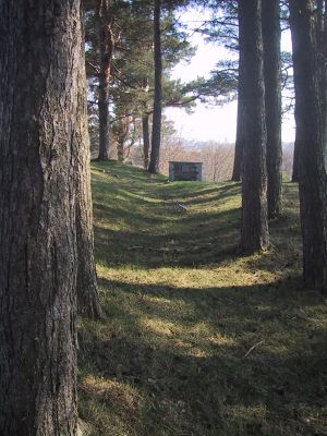 Haug kirkested Verdal.JPG