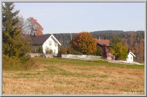 Haug nedre Lommedalen.jpg