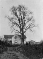 Den nye hovedbygningen fra 1902.