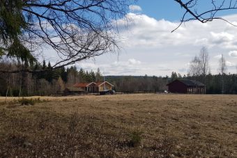 Haugen under Skansgården Kongsvinger.jpg