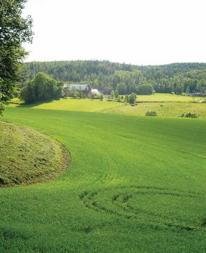 Hauger i Loerenskog hovedgaard1 LL076.jpg