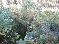 Skyttargrava sett mot aust.