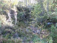 Skyttargrav med større utsprengd område i aust.