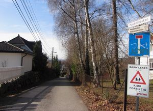 Haukelibakken Oslo 2014.jpg