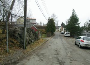 Hauketosvingen Oslo 2015.jpg