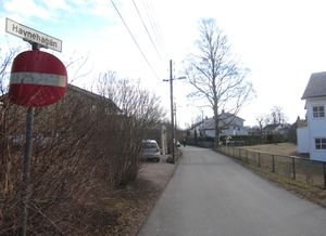 Havnehagan Oslo 2014.jpg