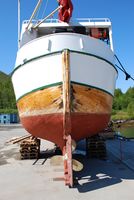 Foto: Nils Marius Johansen, NNFA