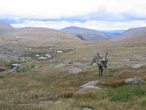 Headwaters of the Garbh Uisge. - geograph.org.uk - 50951.jpg
