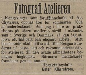Hedemarkens Amtstidende 13-03-1894.JPG
