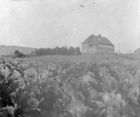 H. T. Heftyes barnehjem, Kirkeveien 173 (1913). Foto: Oslo museum (1914).