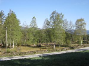 Heggland kyrkjegard 3.jpg