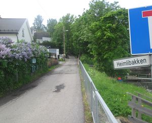 Heimlibakken Oslo 2013.jpg