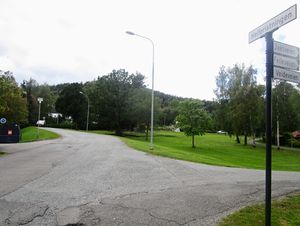 Helleristningen vei Drammen 2015.jpg