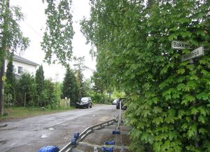 Hellinga Oslo 2014.jpg