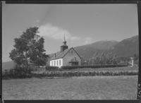 458. Hen - no-nb digifoto 20151105 00159 NB MIT FNR 06547.jpg