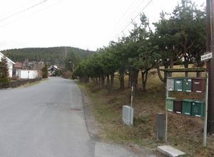 Henckels gate Kongsberg 2014.jpg