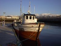 Her er Hendig ved kaia til Aune, Brønnøysund 2008.