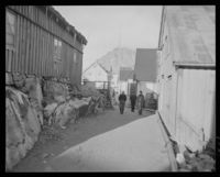 252. Henningsvær - no-nb digifoto 20151126 00004 NB MIT FNR 09878.jpg