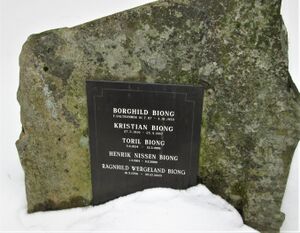Henrik Biong gravminne.jpg