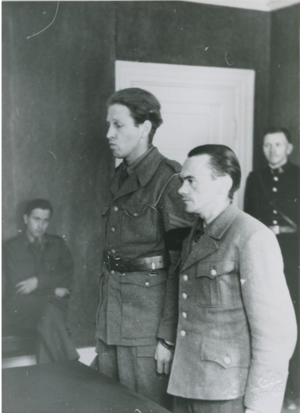 Henry Rinnan framstilling.png