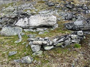 HerbørNørdreBollaSkjåk eldre.jpg