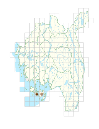 Herminium monorchis.png