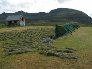 Hesje på Færøyane (Leth).jpg