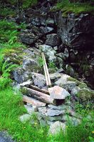 Hestedrikkekar i Rogaland. (Foto: Svein Magne Olsen, 2011)