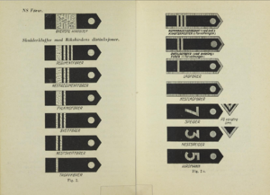 Hirden distinksjoner Håndbok for Rikshirden.png