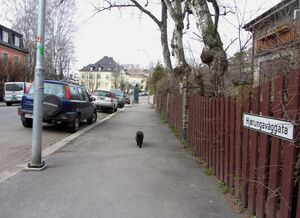 Hjørungavåggata Oslo 2014.jpg