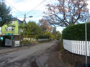 Hjørungveien Oslo 2014.jpg