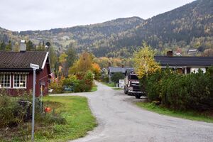Hjartdal, Åsenvegen-1.jpg