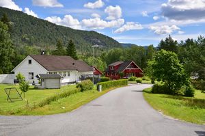 Hjartdal, Bøfeltet-1.jpg