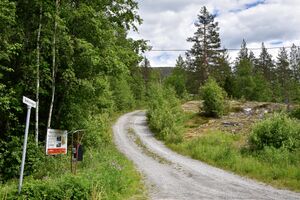 Hjartdal, Bekkhusvegen-1.jpg