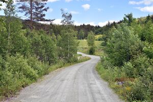 Hjartdal, Bjønndalsvegen-1.jpg