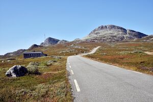 Hjartdal, Gaustavegen-1.jpg