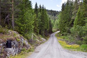 Hjartdal, Kovflottvegen-1.jpg