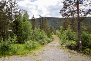 Hjartdal, Vigårdsstubben-1.jpg