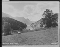 207. Hjartdal - no-nb digifoto 20151020 00152 NB MIT FNR 03471.jpg