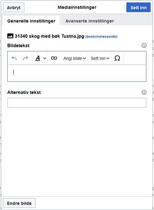 Hjelp bilder i artikler bildetekst.JPG