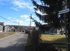 Hjemliveien Oslo 2014.jpg