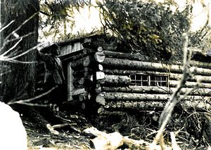 Hjemmefronthytta totenaasen 1945.jpg