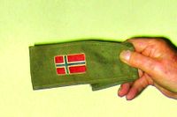 125. Hjemmevernets armbind 1945.jpg