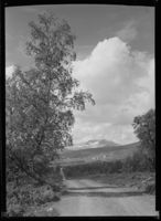 39. Hjerkinn mot Snøhetta - no-nb digifoto 20151105 00042 NB MIT FNR 06490.jpg