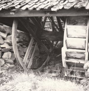 Hjulgogn frå Tysnes i Sunnhordland.jpg